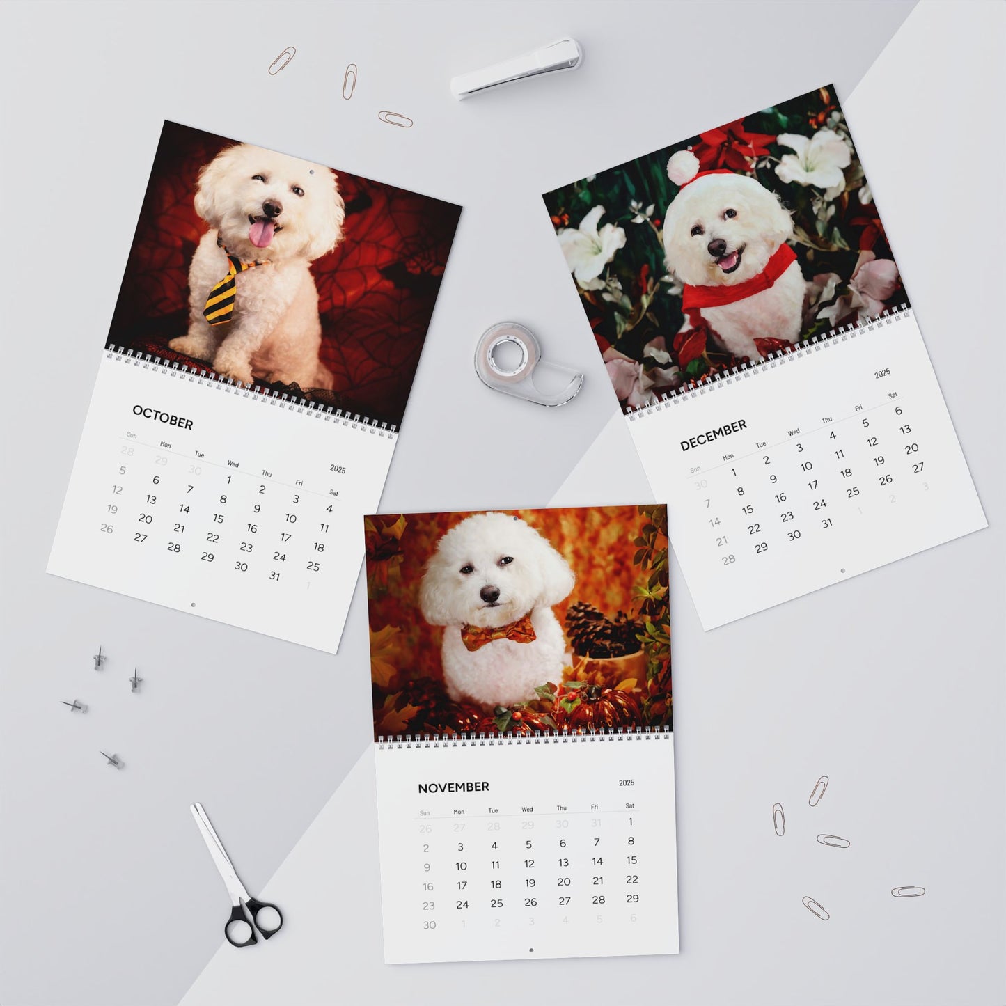 Harvee Bichon Frise Wall Calendar 2025