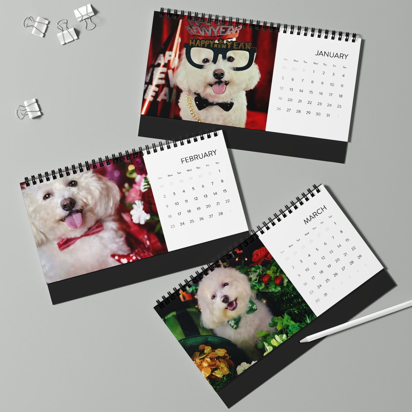 Harvee Bichon Frise Desktop Calendar 2025