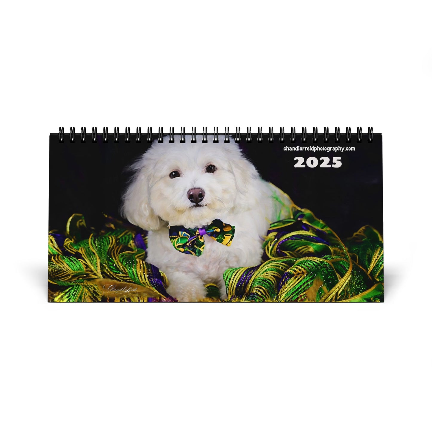 Harvee Bichon Frise Desktop Calendar 2025