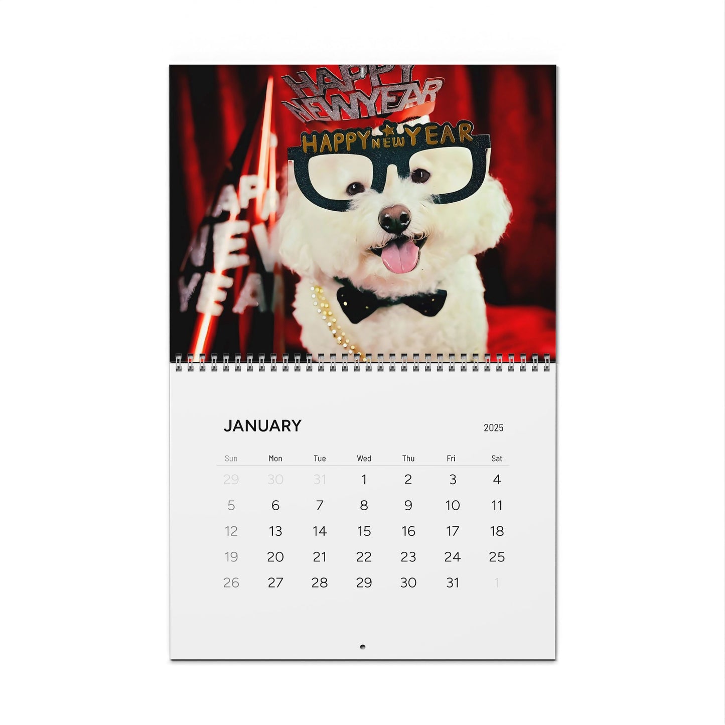 Harvee Bichon Frise Wall Calendar 2025
