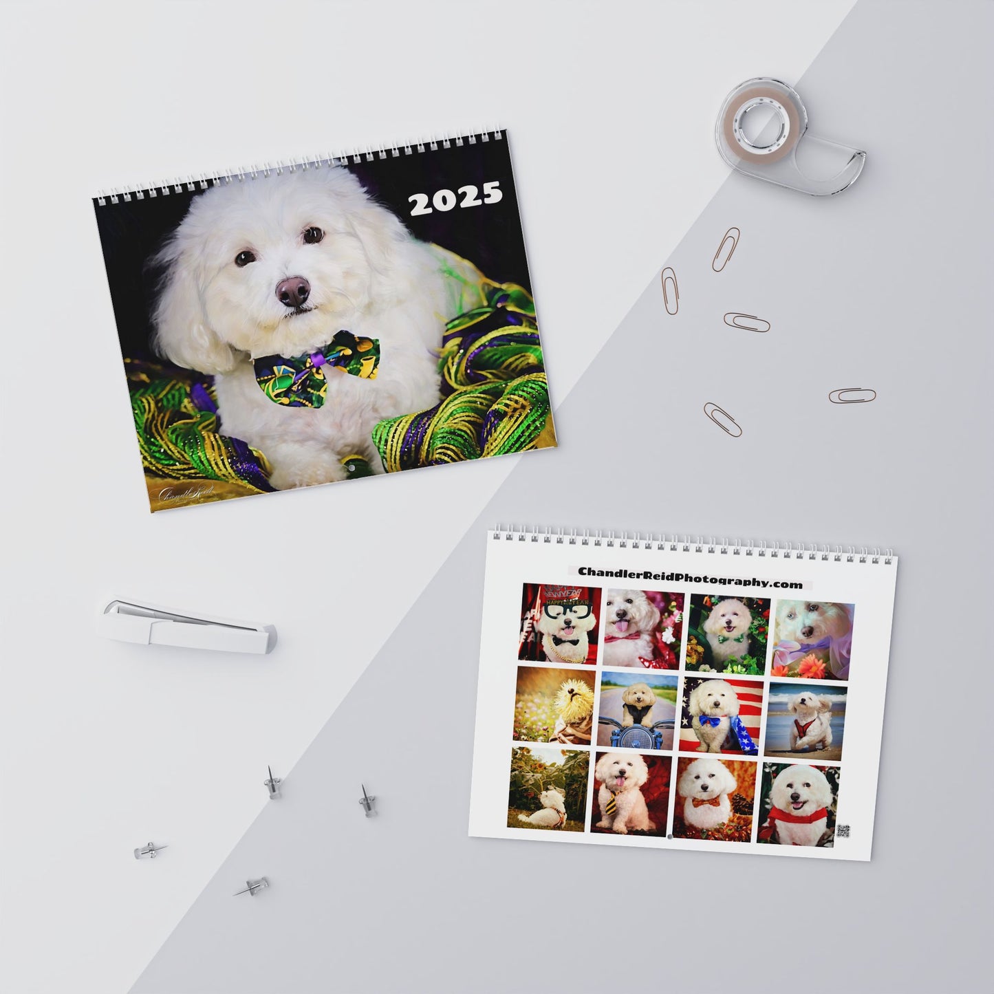 Harvee Bichon Frise Wall Calendar 2025
