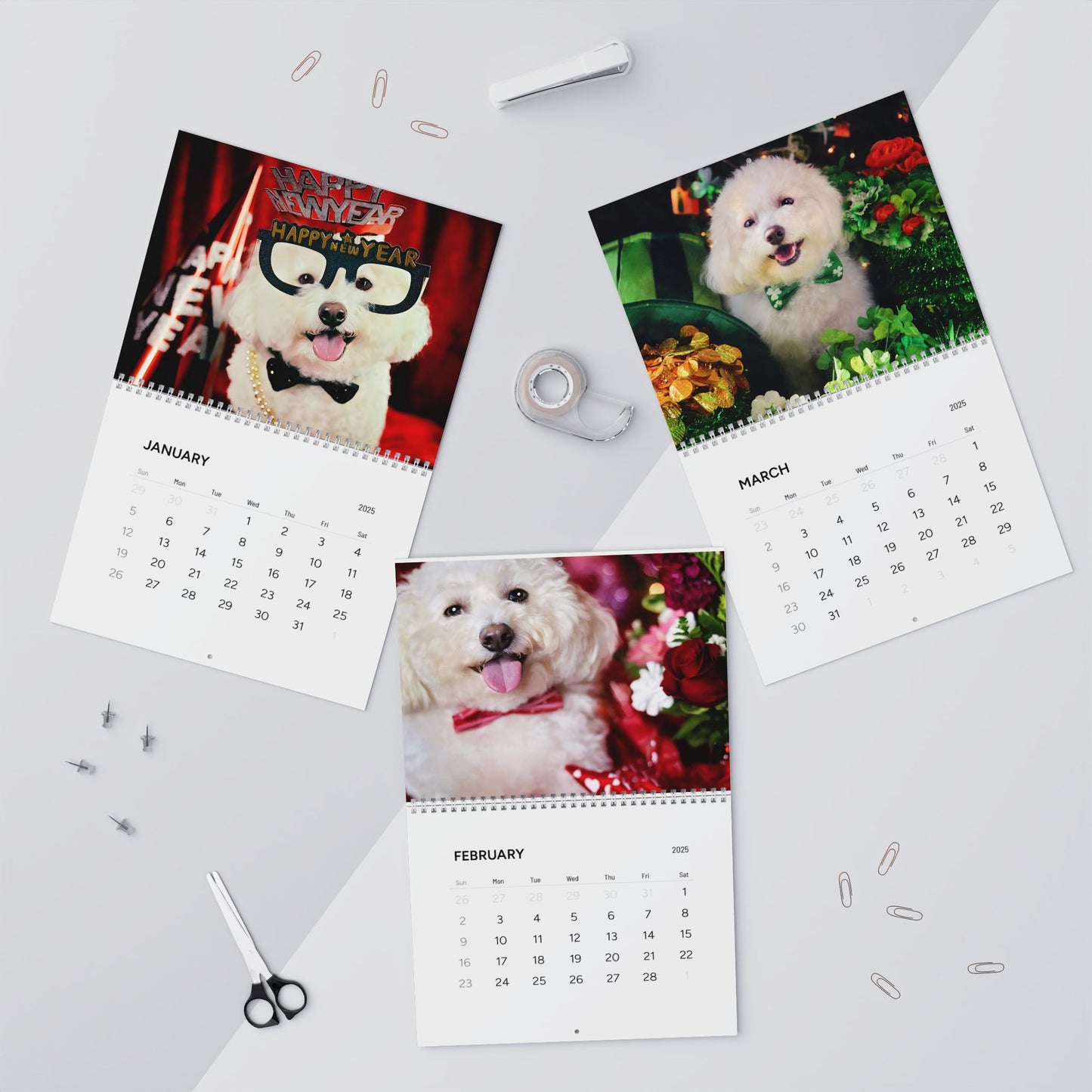 Harvee Bichon Frise Wall Calendar 2025