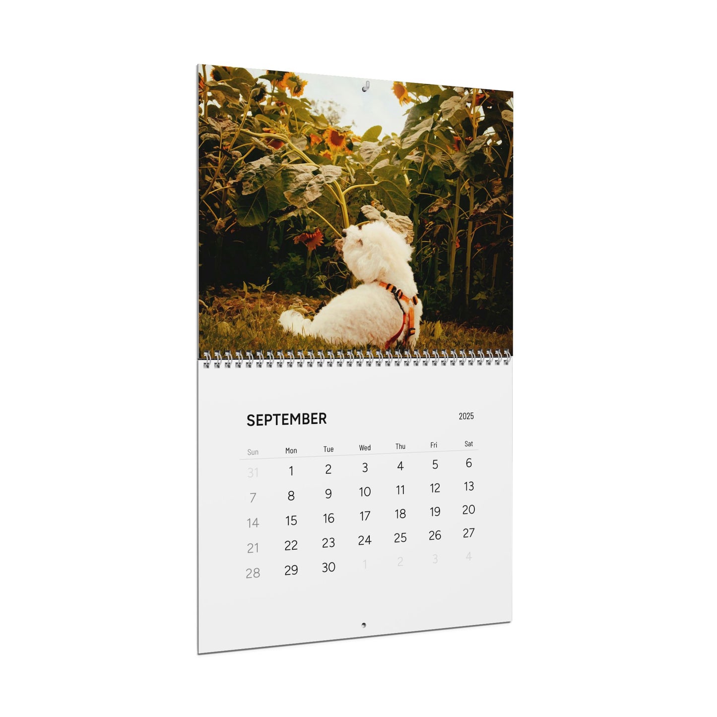Harvee Bichon Frise Wall Calendar 2025