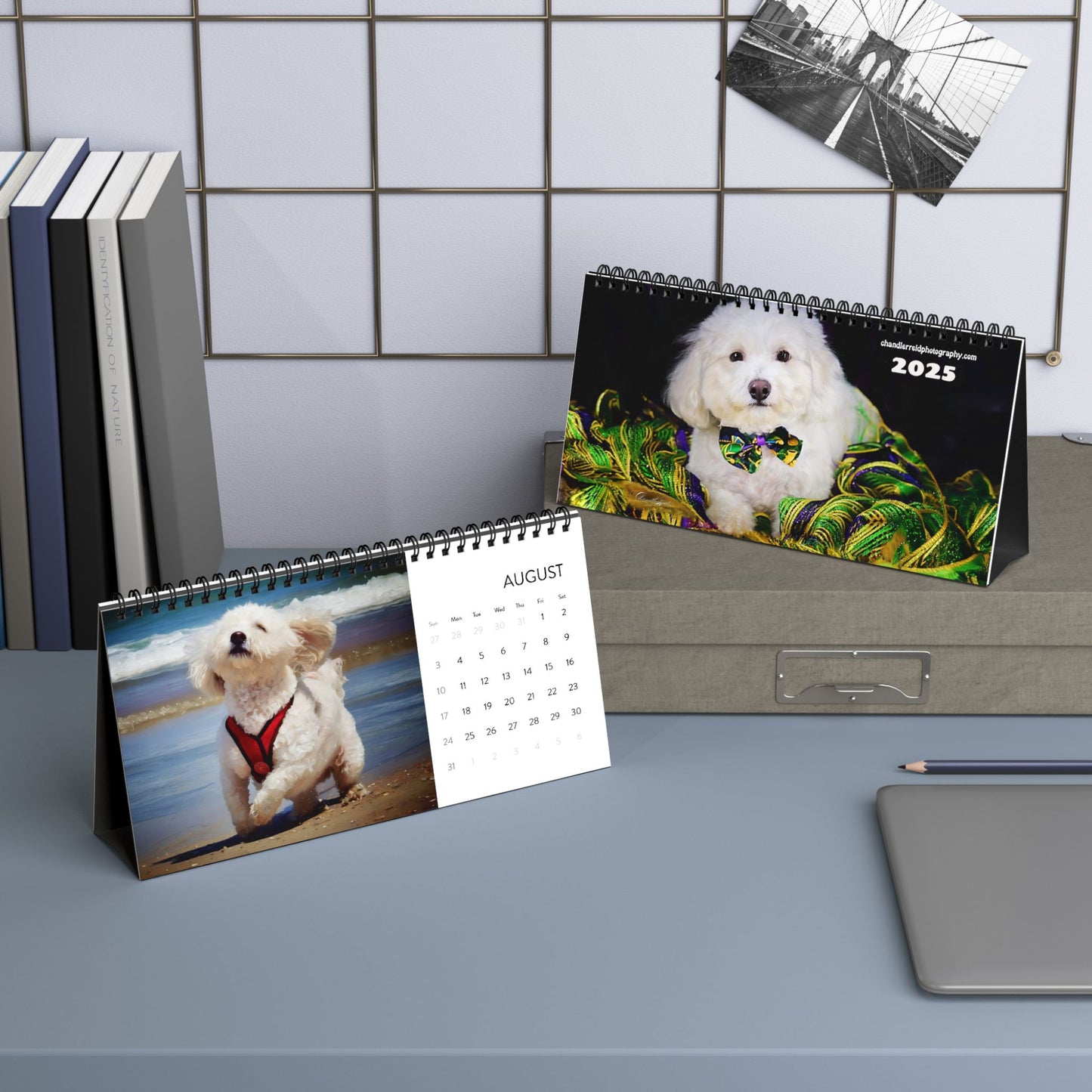 Harvee Bichon Frise Desktop Calendar 2025