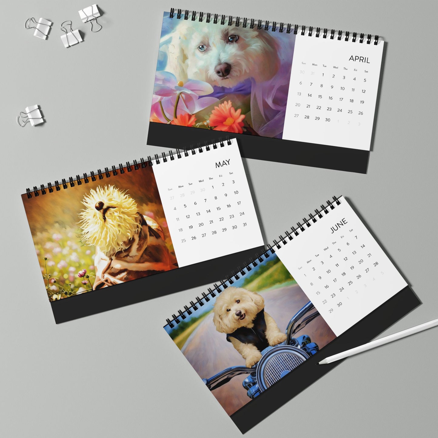 Harvee Bichon Frise Desktop Calendar 2025