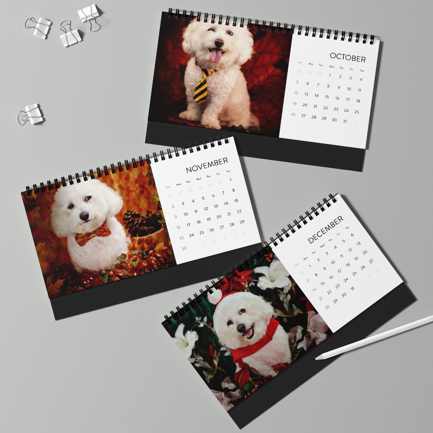 Harvee Bichon Frise Desktop Calendar 2025