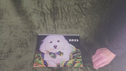 Harvee Bichon Frise Wall Calendar 2025